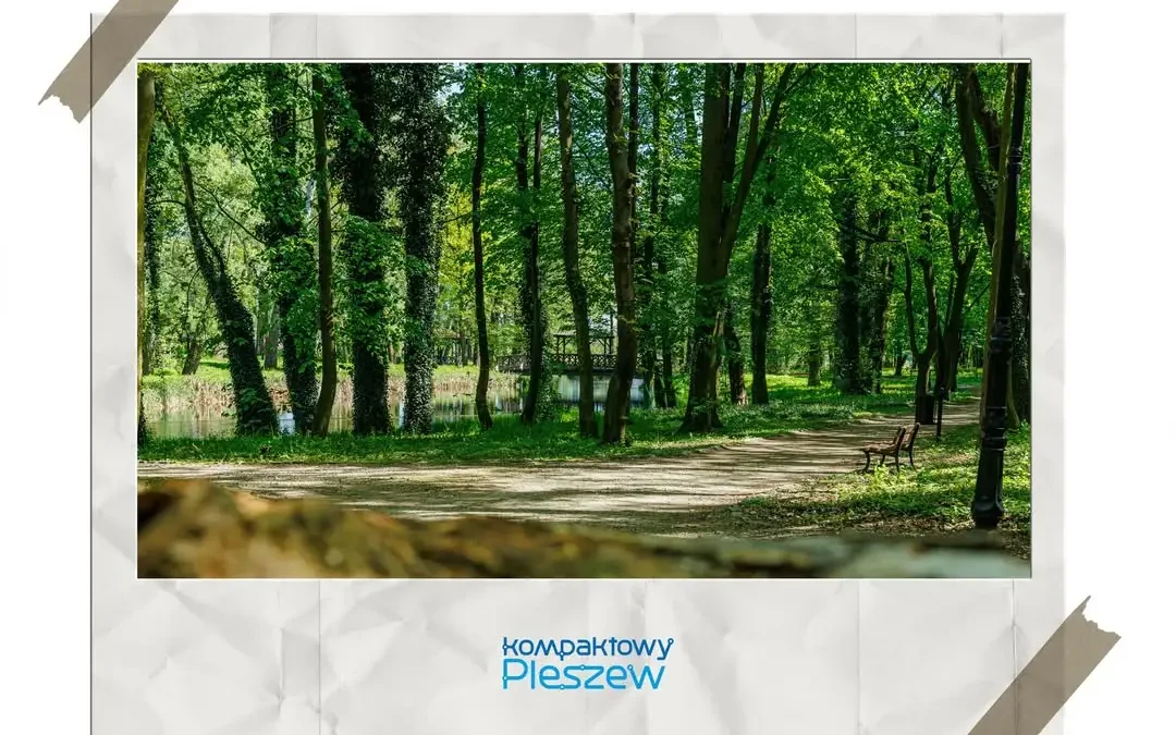Konkurs fotograficzny w Pleszewie z przedłużonym terminem – wyślij zdjęcie do 30 września