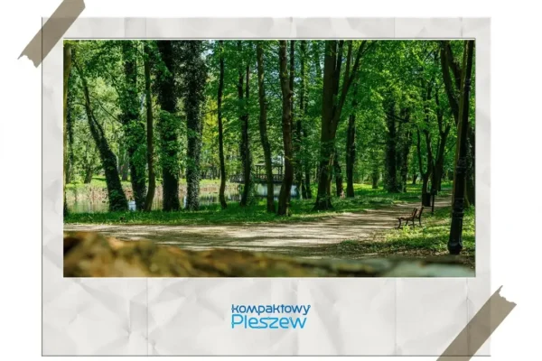 Konkurs fotograficzny w Pleszewie z przedłużonym terminem – wyślij zdjęcie do 30 września
