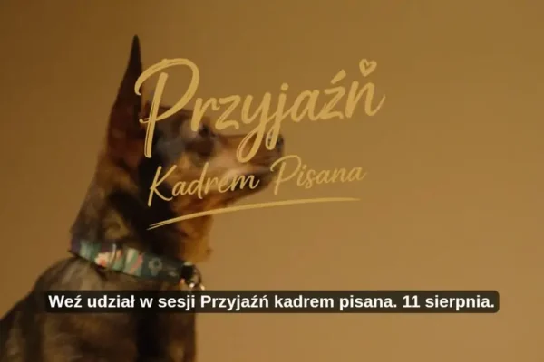 Sesja fotograficzna „Przyjaźń Kadrem Pisana” już 11 sierpnia w Pleszewie
