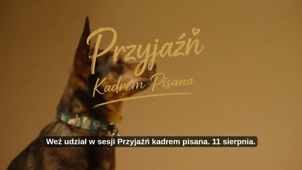 Sesja fotograficzna „Przyjaźń Kadrem Pisana” już 11 sierpnia w Pleszewie