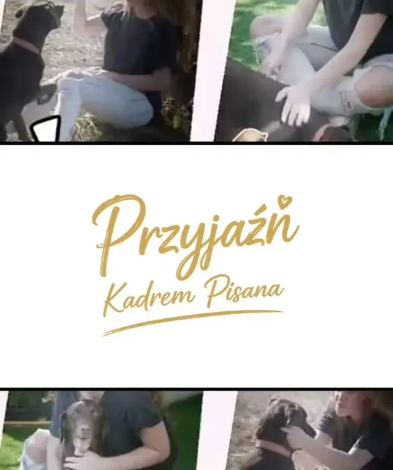 Sesja fotograficzna z pupilami 11 sierpnia – zostało ostatnie miejsce