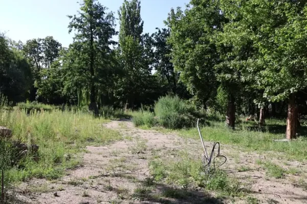 Park miejski w Pleszewie: nowy wykonawca przejmuje plac budowy, prace ruszają