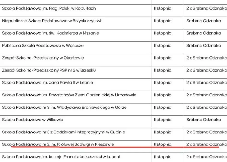 Sukces uczniów i opiekunów SKO – nagroda II stopnia dla szkoły