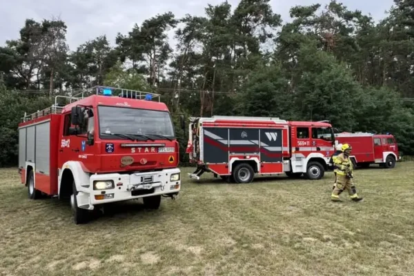 Pożar lasu w Starej Kaźmierce i interwencja ws. owadów w Starym Olescu