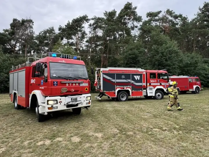 Pożar lasu w Starej Kaźmierce i interwencja ws. owadów w Starym Olescu