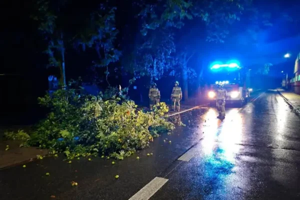 Cztery interwencje OSP Dobrzyca w weekend: powalone drzewo i zalane piwnice