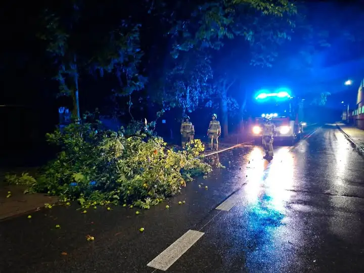 Cztery interwencje OSP Dobrzyca w weekend: powalone drzewo i zalane piwnice