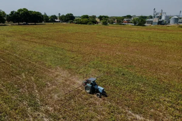 Gmina Pleszew wydzierżawi grunty rolne w Kuczkowie – 1,57 ha pod uprawy