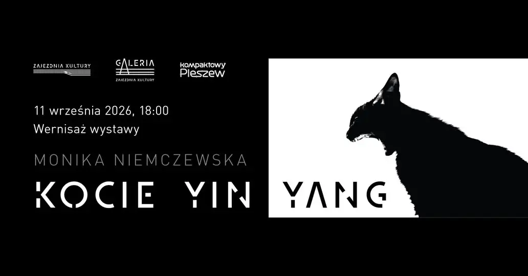 Kocie Yin Yang – wyjątkowa wystawa fotografii w Pleszewie