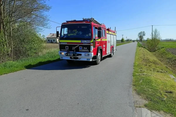 Interwencja OSP Broniszewice: owady błonkoskrzydłe przy budynku publicznym